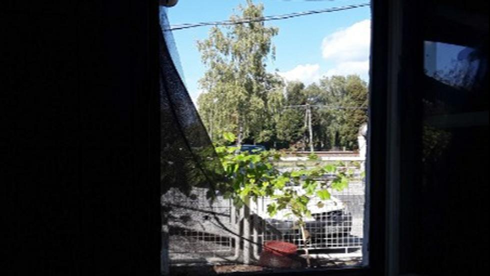 Betörtek a vonyarcvashegyi strandra, lopás és rongálás miatt emeltek vádat Betörtek a vonyarcvashegyi strandra, lopás és rongálás miatt emeltek vádat