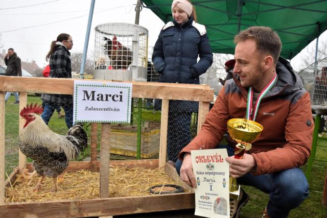 Marci lett a kakassz�ps�gverseny gy�ztese Kerkabarab�son