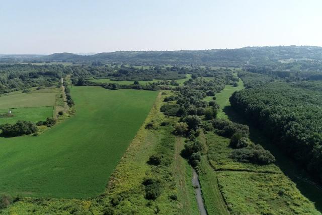 Vesz�lyben vannak az iv�v�zk�szleteink