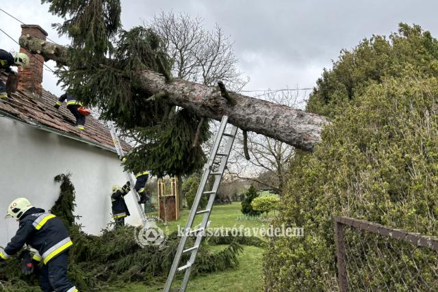 Megd�lt a sz�lrekord a Balatonn�l