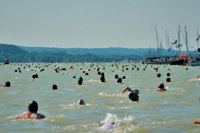 Elhalasztjk a Balaton-tszst
