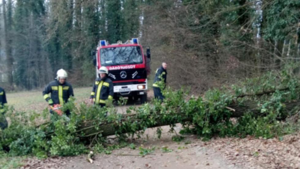 Kidőlt fa okozott forgalmi akadályt Zalaegerszegen Kidőlt fa okozott forgalmi akadályt Zalaegerszegen