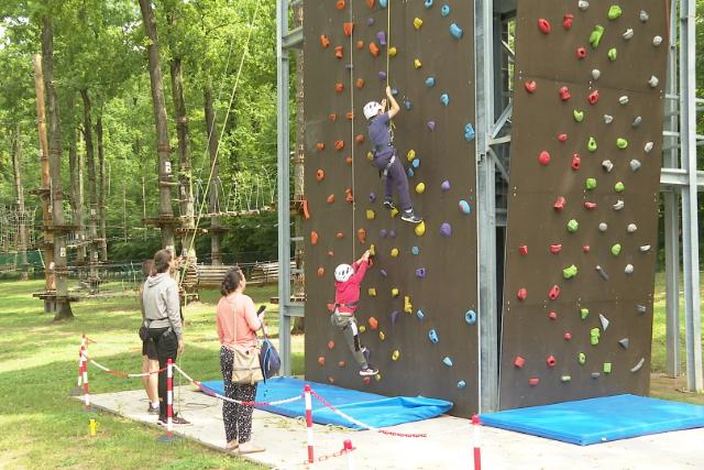 Npszer az Alserdei Sport- s lmnypark 
