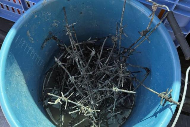 Vesz�lyes dolgot tal�ltak a Balatonban, t�bb f�rd�z� is megs�r�lt