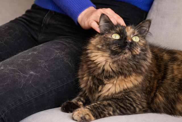 Lefagyasztotta a macsk�j�t, hogy �r�kre egy�tt lehessen vele