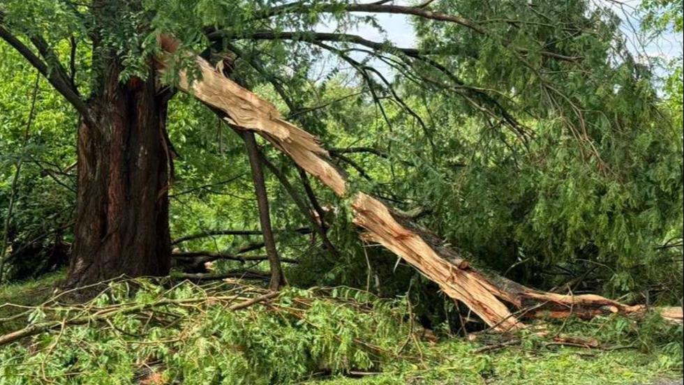 Megtelt árkok, kidőlt fák: így pusztított a vihar Alsópáhokon Megtelt árkok, kidőlt fák: így pusztított a vihar Alsópáhokon