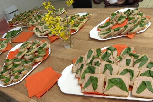 Kor�n �rkezett a medvehagyma a Bakonyba