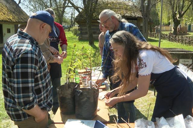 Idénynyitó a skanzenben Idénynyitó a skanzenben