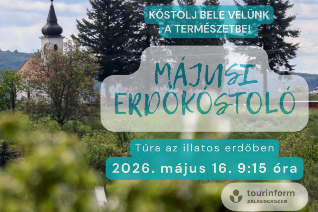 M�jusi erd�k�stol� – T�ra az illatos erd�ben