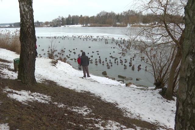 N�pszer� t�li c�lpont a G�b�rti-t�