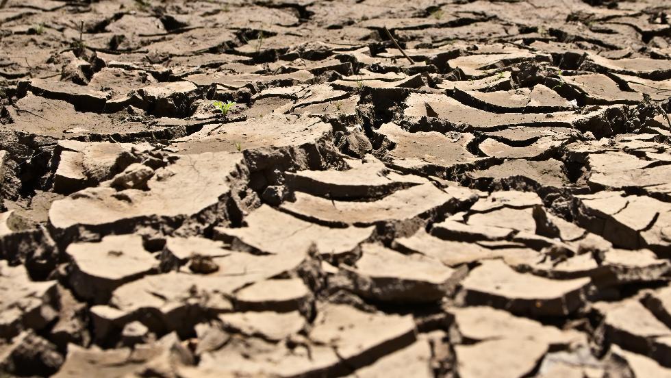 Fokozódó aszály sújtja az országot – továbbra sincs kilátás jelentős csapadékra Fokozódó aszály sújtja az országot – továbbra sincs kilátás jelentős csapadékra