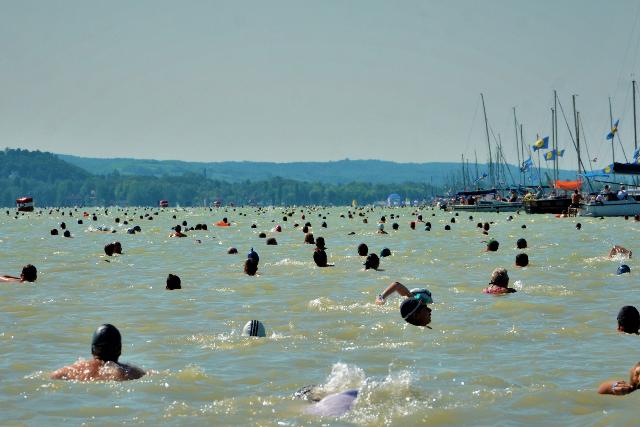 Több mint tízezer indulóra számítanak a Balaton-átúszás szervezői Több mint tízezer indulóra számítanak a Balaton-átúszás szervezői
