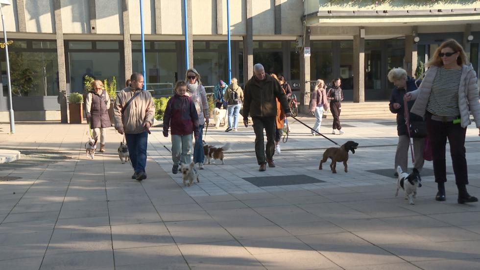 Állatok világnapja - rendhagyó nap és adományátadás a városházán  Állatok világnapja - rendhagyó nap és adományátadás a városházán