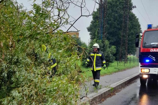 Heves széllökések fákat döntöttek Zalában Heves széllökések fákat döntöttek Zalában