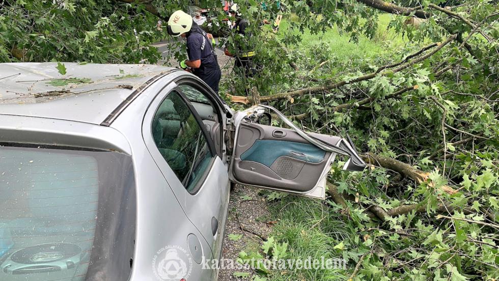 Közlekedő autóra dőlt egy fa Pölöskén Közlekedő autóra dőlt egy fa Pölöskén