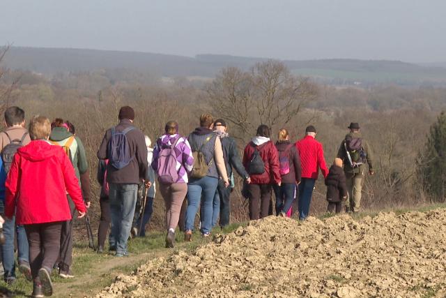 Erd�k�stol� – T�ra az Eg�szs�ges Zalaegerszeg Program jegy�ben 