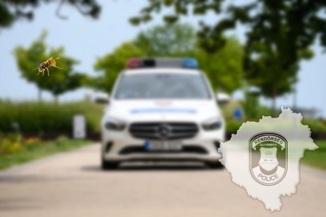 Darázs csípett meg egy kerékpárost a keszthelyi strandon, rendőrök mentették meg a férfi életét Darázs csípett meg egy kerékpárost a keszthelyi strandon, rendőrök mentették meg a férfi életét