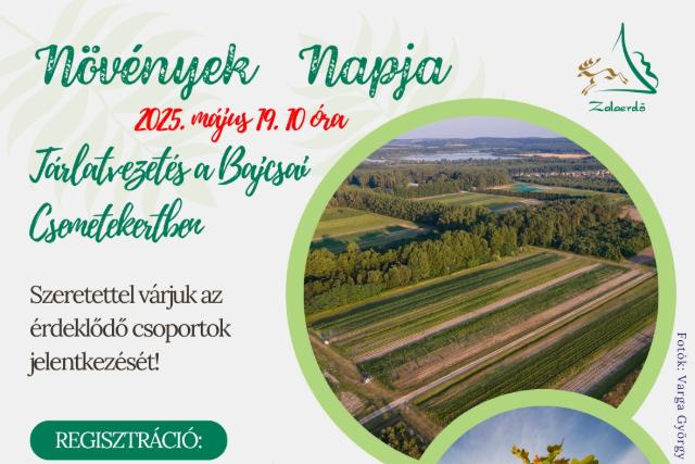 Növények Napja a Zalaerdővel Növények Napja a Zalaerdővel