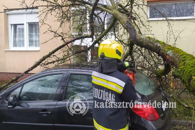 Parkol autkra dlt egy fa Zalaegerszegen