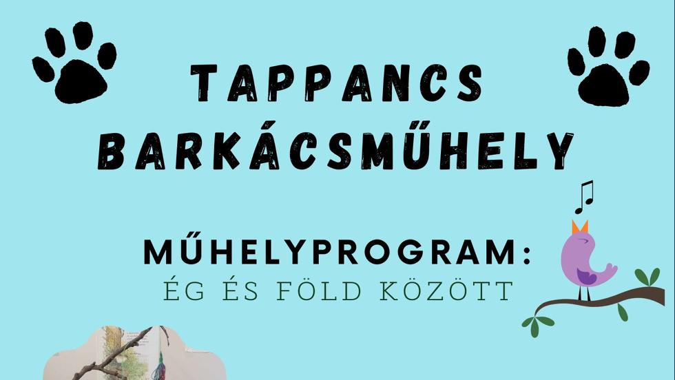 Tappancs barkácsműhely a könyvtárban Tappancs barkácsműhely a könyvtárban