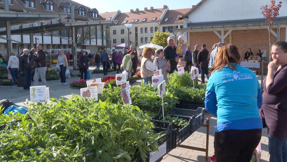III. Egerszegi Palántafesztivál a Göcseji Tudásközpontban III. Egerszegi Palántafesztivál a Göcseji Tudásközpontban