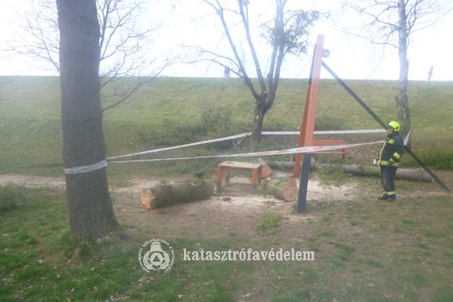 Fenyőfa dőlt a játszótérre Zalaegerszegen Fenyőfa dőlt a játszótérre Zalaegerszegen