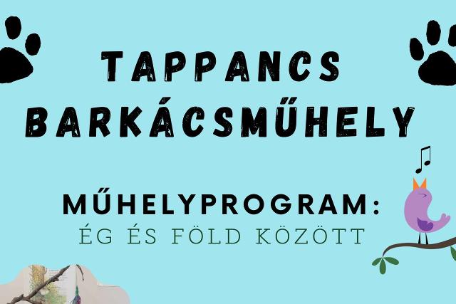 Tappancs barkcsmhely a knyvtrban