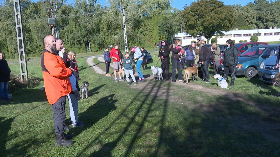 Zala Forest Challenge - kutys terepfut versenyt szerveztek Alserdn
