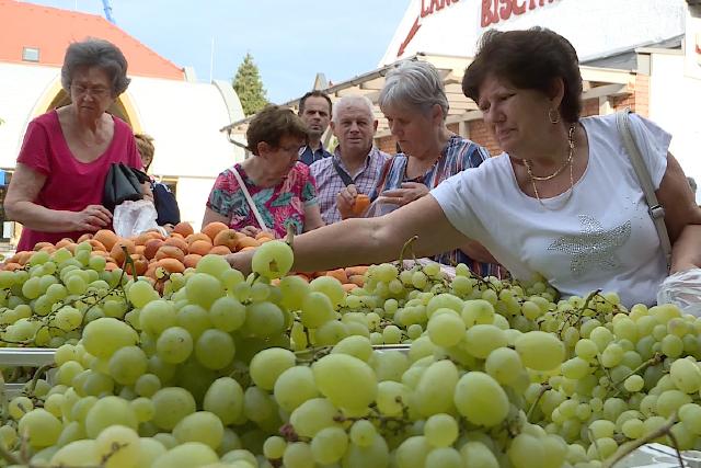 Gyümölcsözön a zalaegerszegi piacon Gyümölcsözön a zalaegerszegi piacon