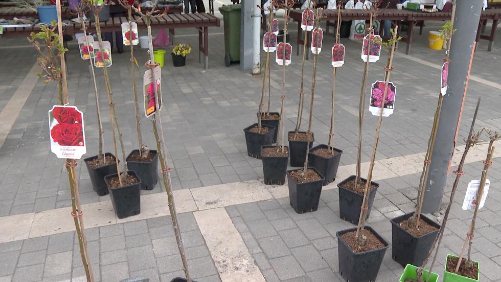 Piaci körkép Piaci körkép