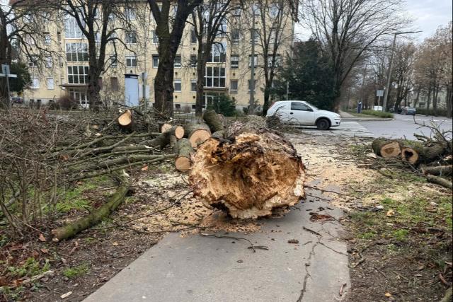 Nem k�m�lte Zal�t a vihar