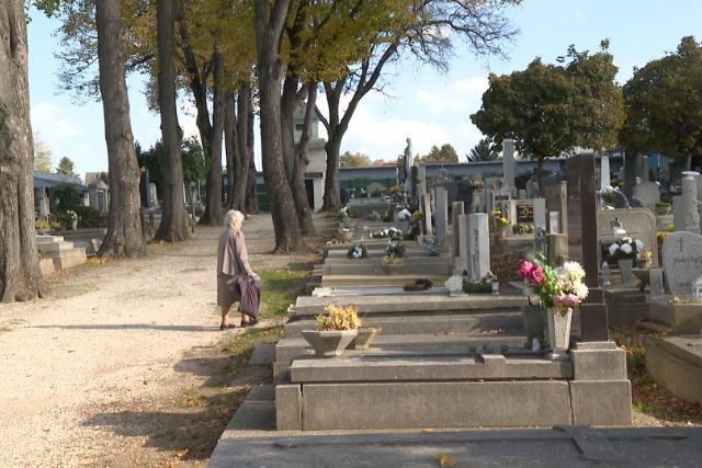 Kzeledik Mindenszentek nnepe – Rendbe tettk a srkerteket  