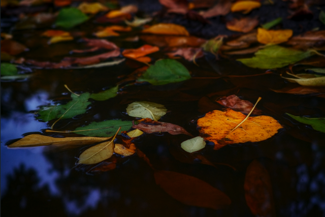 Es rkezik nyugatrl – bcst inthetnk a 20 foknak