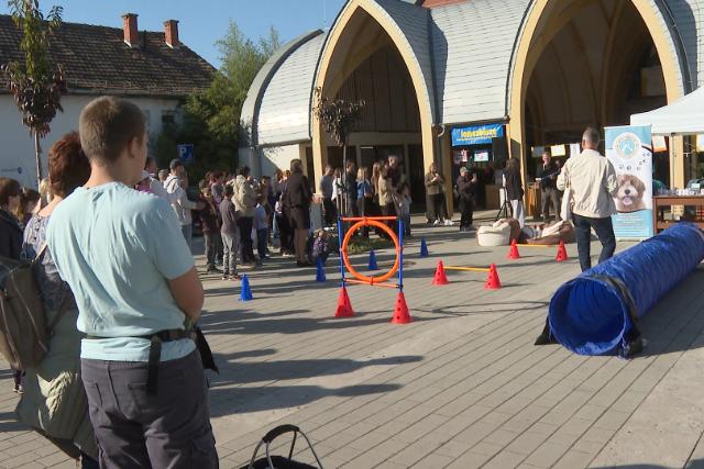�llati J� �gy – Interakt�v programok a G�cseji Tud�sk�zpontban