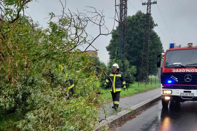 Kidőlt fákhoz riasztották a zalai tűzoltókat Kidőlt fákhoz riasztották a zalai tűzoltókat