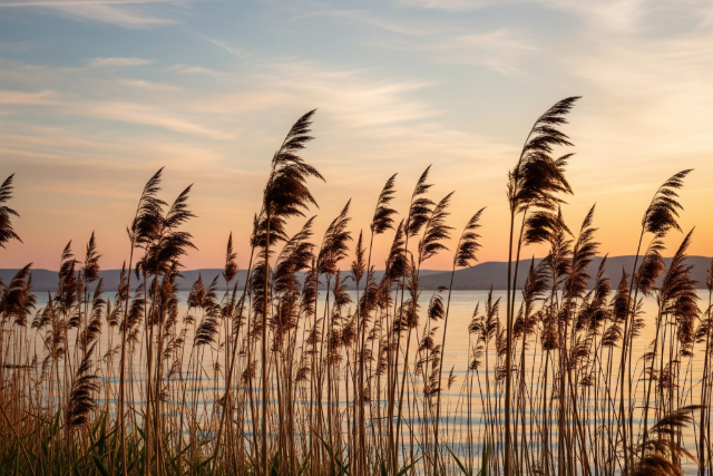 Durva brsggal bntetnek a Balatonon