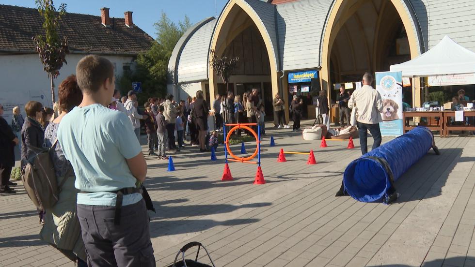 Állati Jó Ügy – Interaktív programok a Göcseji Tudásközpontban Állati Jó Ügy – Interaktív programok a Göcseji Tudásközpontban