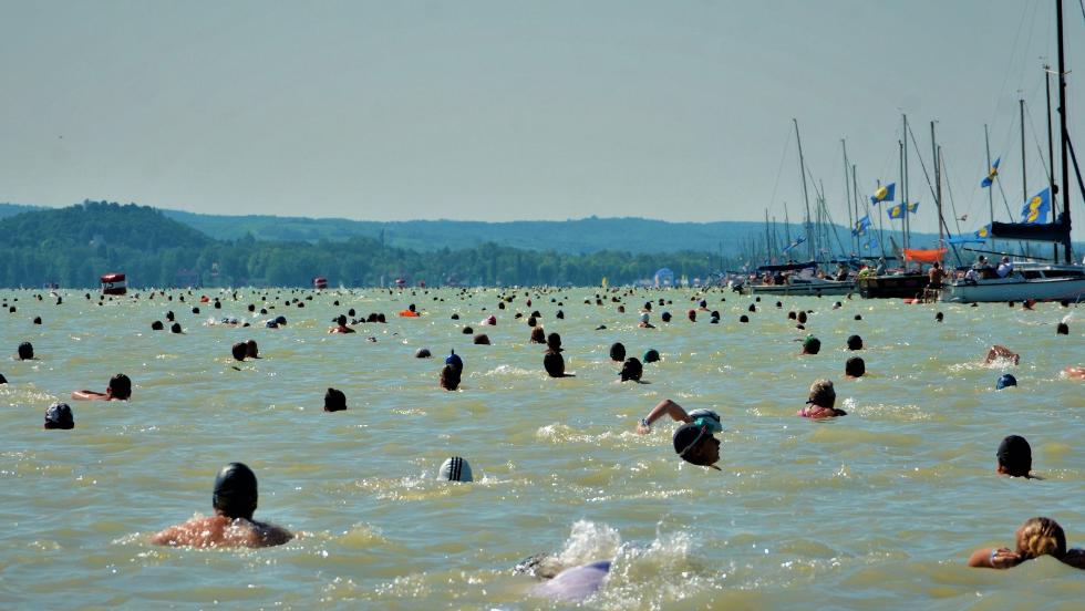 Több mint tízezer indulóra számítanak a Balaton-átúszás szervezői Több mint tízezer indulóra számítanak a Balaton-átúszás szervezői