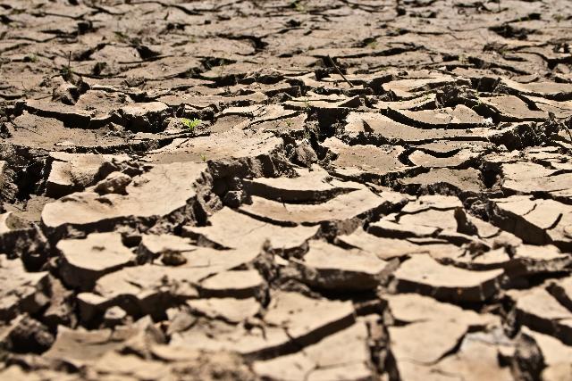 Az idei nyár felperzselte a Kárpát-medencét Az idei nyár felperzselte a Kárpát-medencét