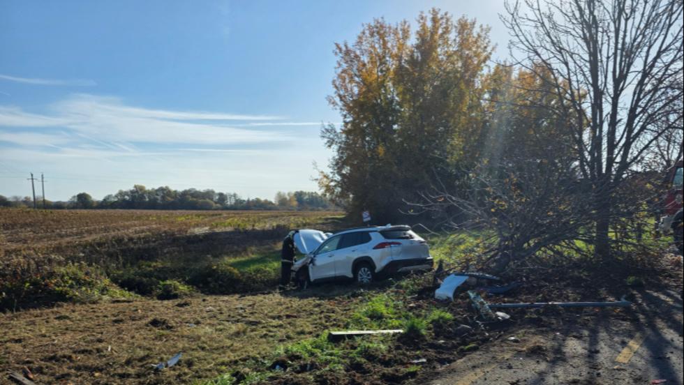 Fát borított ki egy autó Galamboknál Fát borított ki egy autó Galamboknál