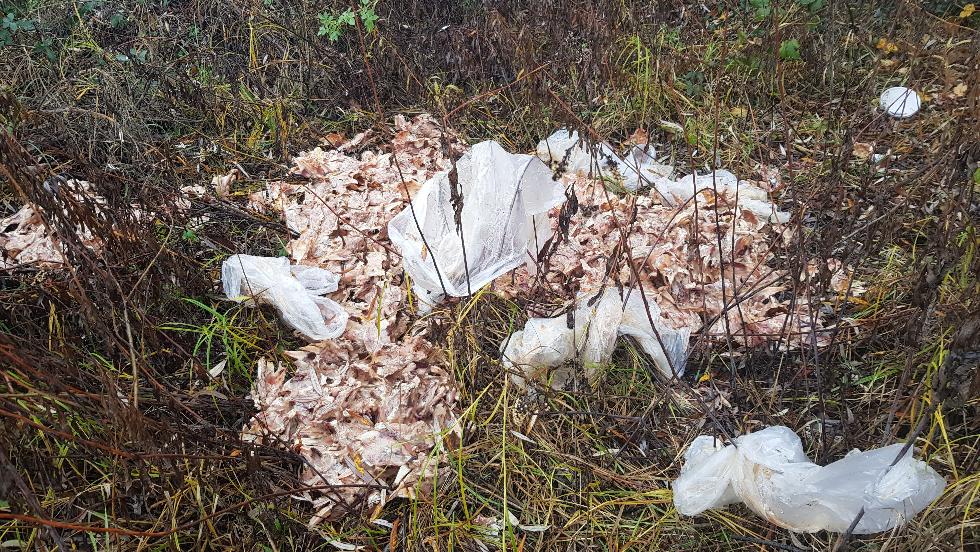 Az út szélén szabadult meg a romlott hústól Nagykanizsán egy férfi Az út szélén szabadult meg a romlott hústól Nagykanizsán egy férfi