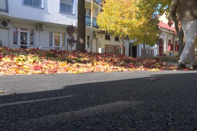 Megjult az Ady utcai jrda tbb szakasza