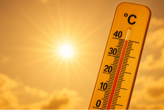 Ezt tegye, ha nagy a ny�ri forr�s�g