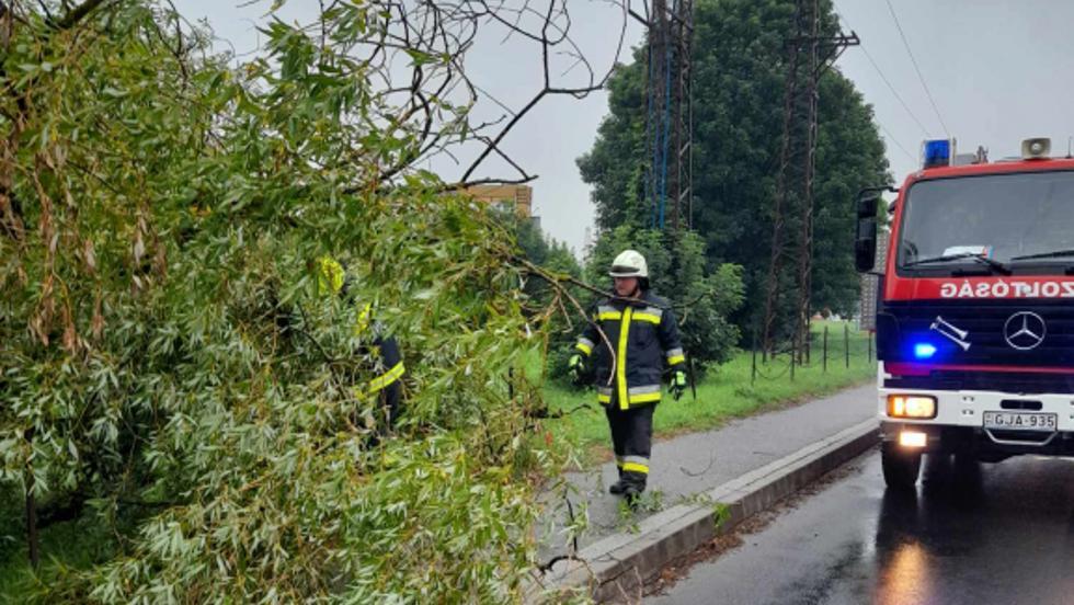 Heves széllökések fákat döntöttek Zalában Heves széllökések fákat döntöttek Zalában