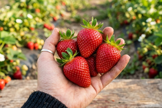 Ez�rt �rdemes hazai epret v�s�rolni