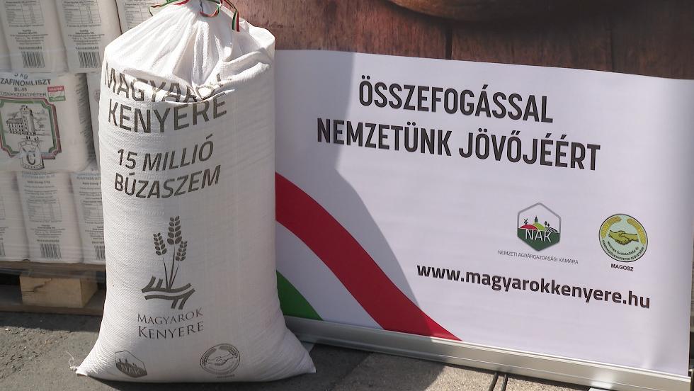 Búzaszentelő - A búzával megrakott kamionok egy része már begurult a malmokba Búzaszentelő - A búzával megrakott kamionok egy része már begurult a malmokba