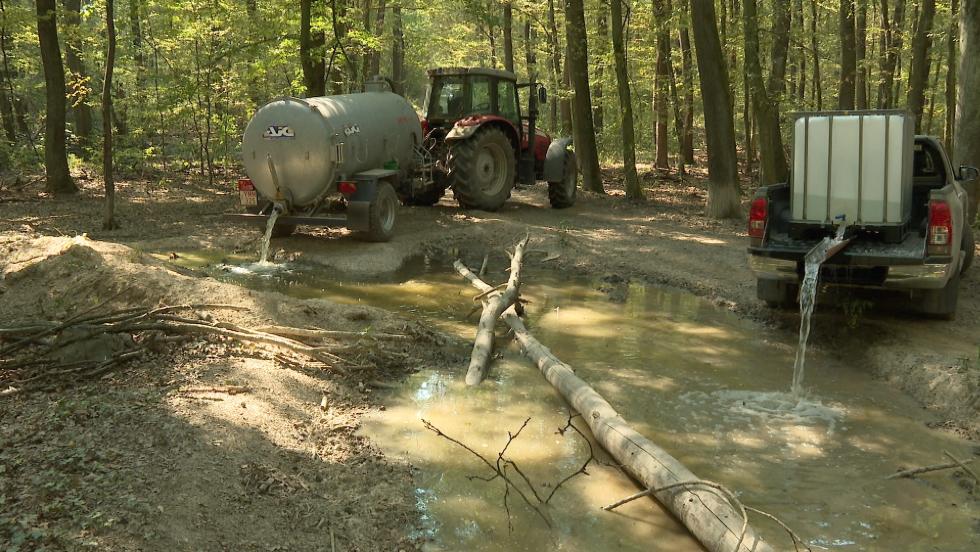 Hőség - Megterheli a vadgazdálkodást is Hőség - Megterheli a vadgazdálkodást is