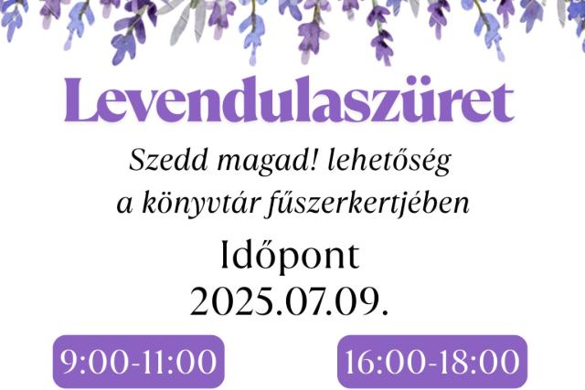 Szedd magad! Levendulaszret a knyvtr fszerkertjben