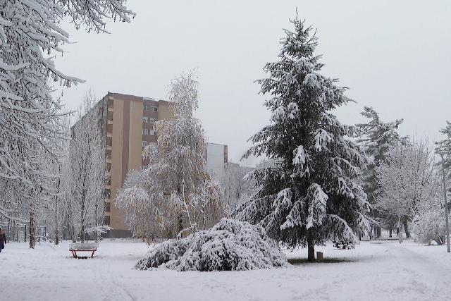 Meghozta a havat a Mikuls Zalba