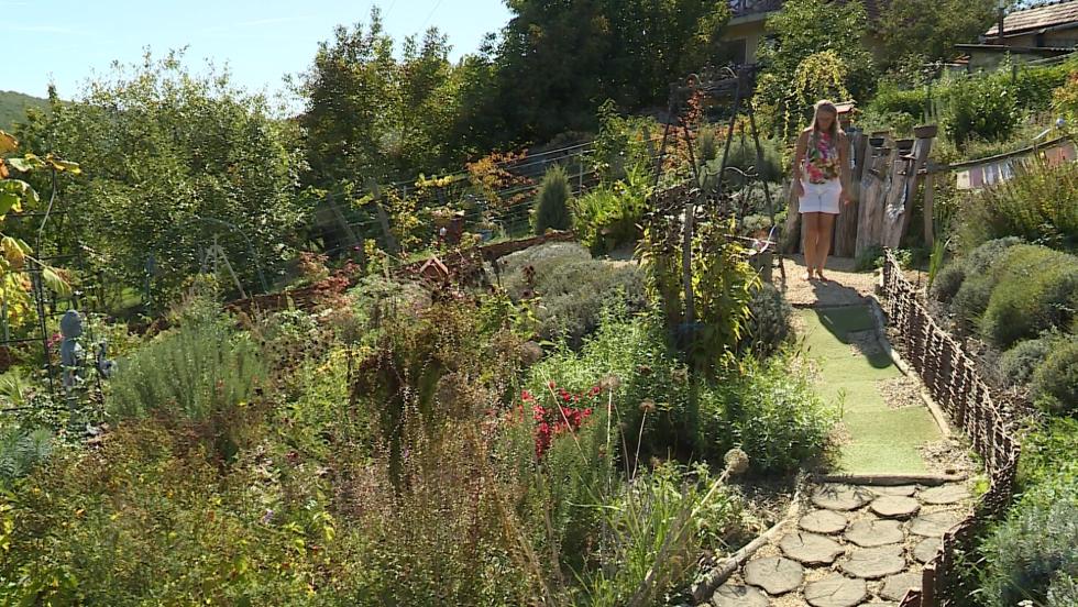 Közösségi célokat is szolgál a magánkert Közösségi célokat is szolgál a magánkert